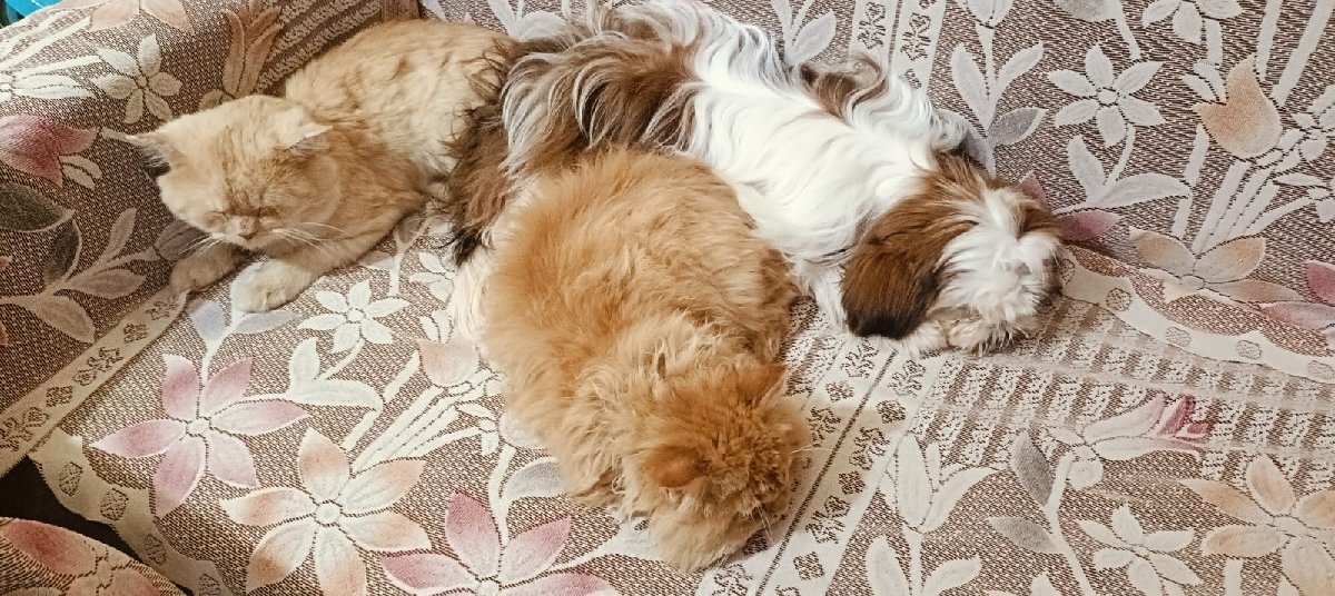 Resting Time