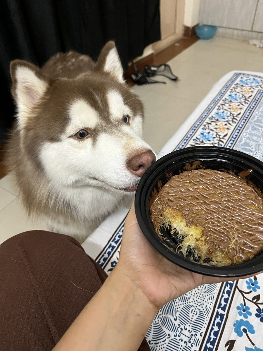 Kunafa partyyy with togo