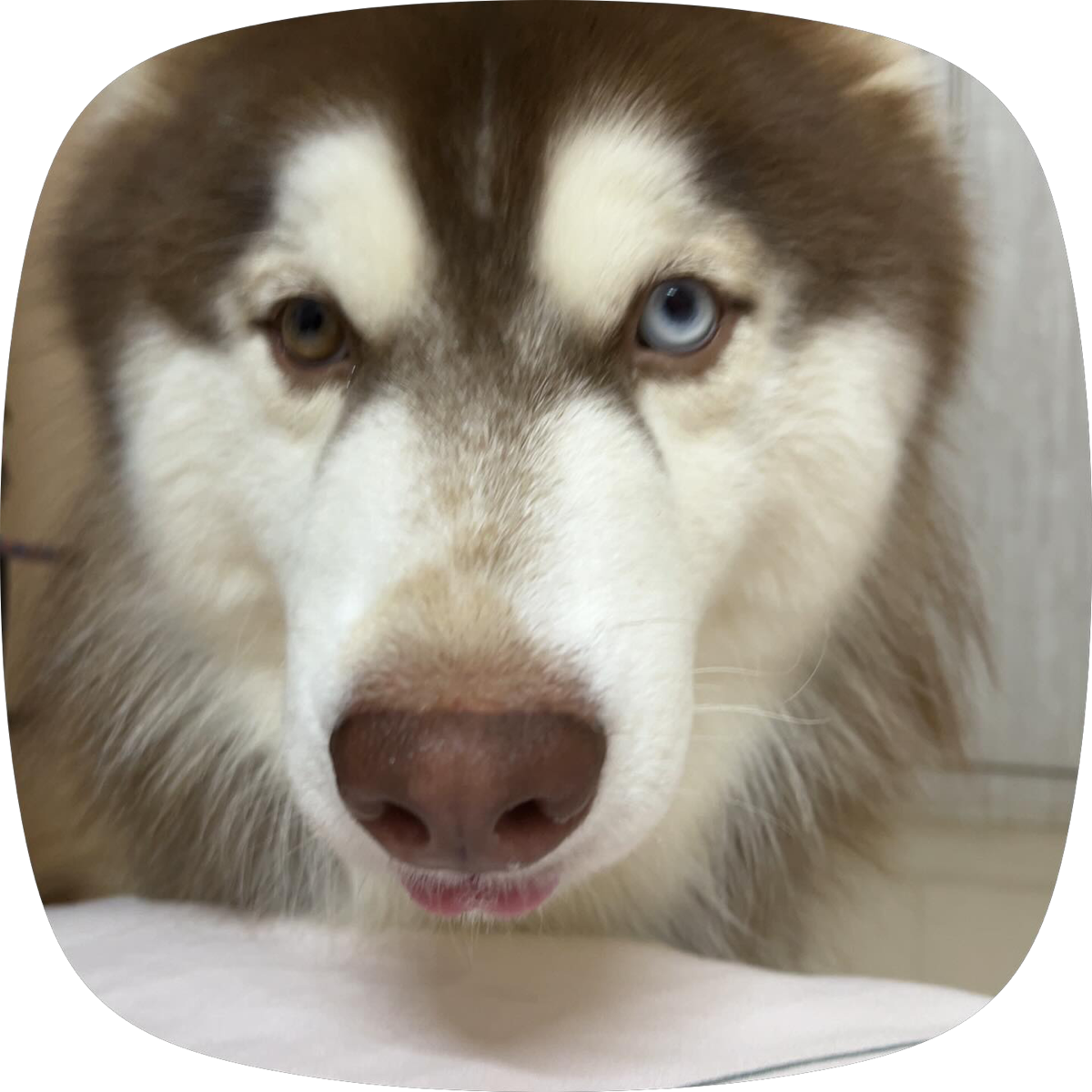 His signature face ๐