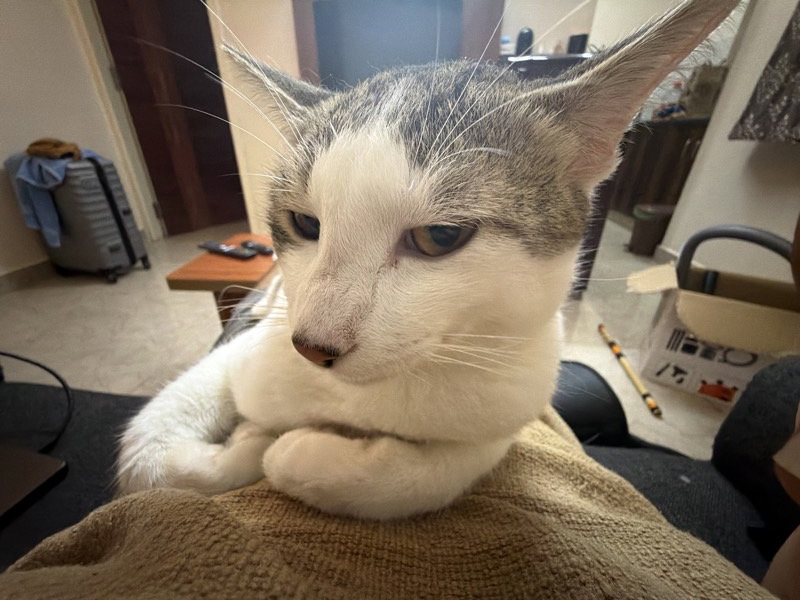 dude gives side eyes