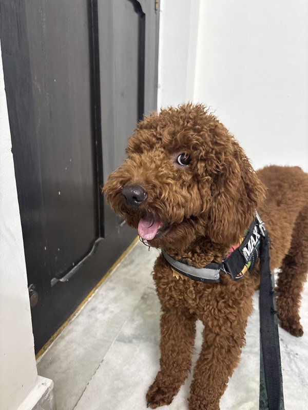 Max spent the day with me. 10 Oct