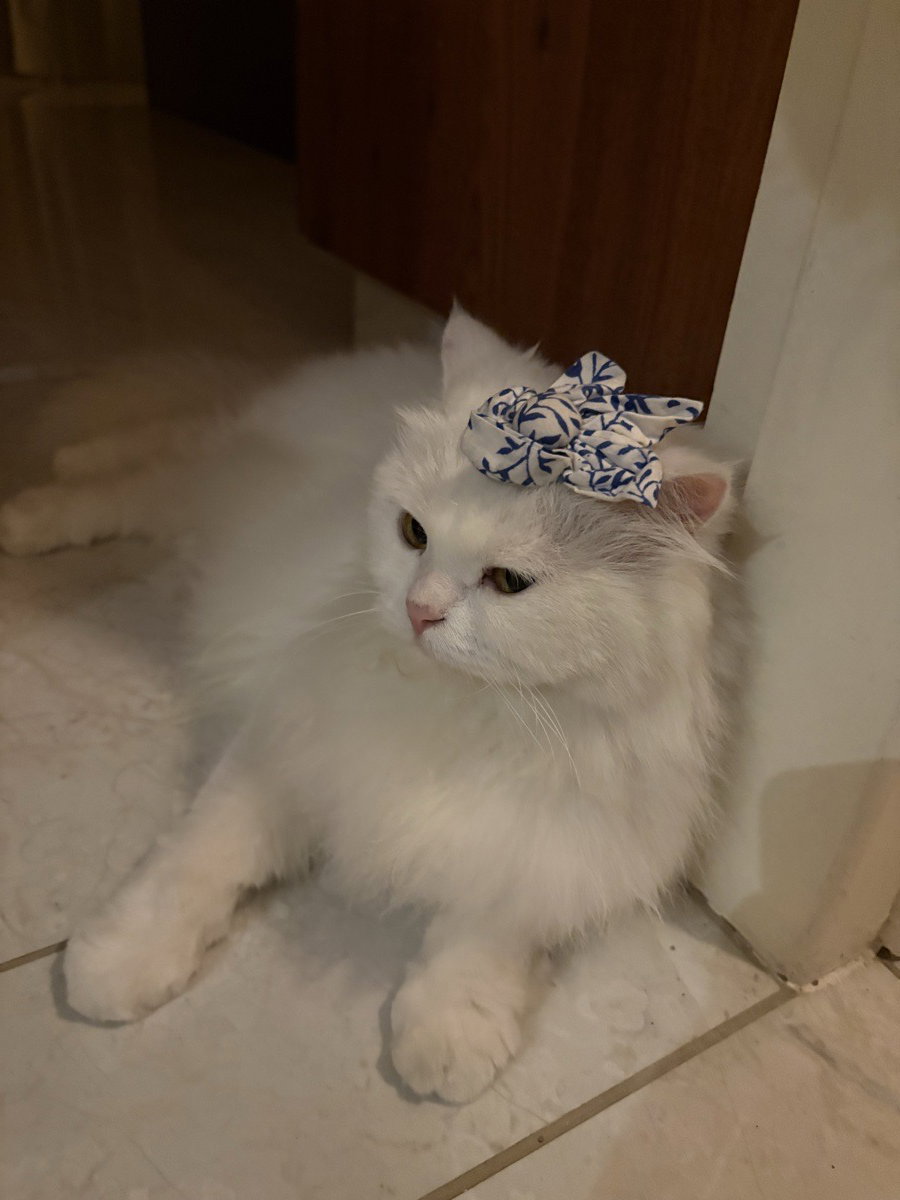 A princess indeed
(FYI, it’s not clipped on, just resting on her head for a quick second)