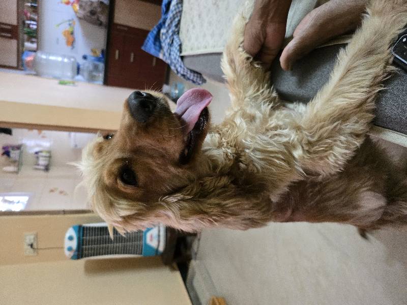 Kuku stayed with me and settled right in. 20–22 Sep