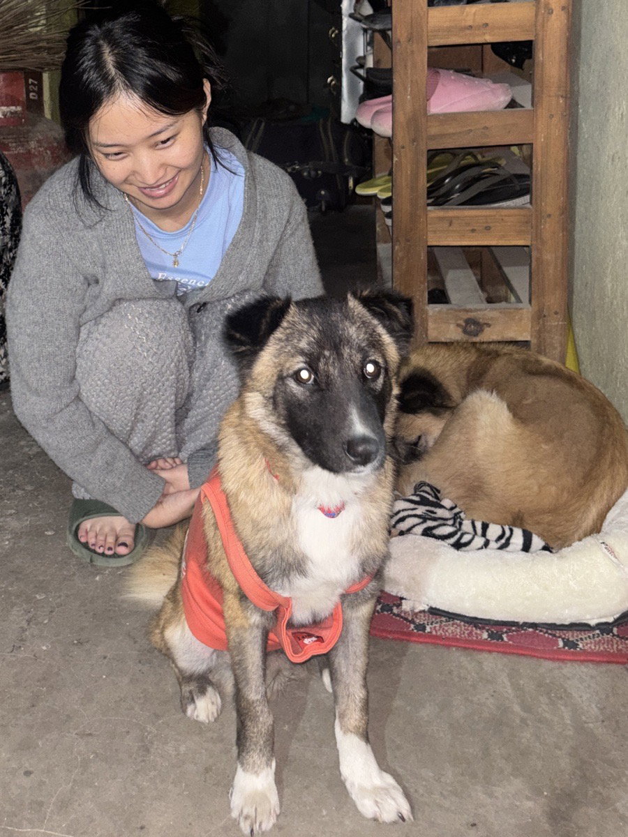 Hi guys this is my bondu and he survived parvo!
What are your super powers?