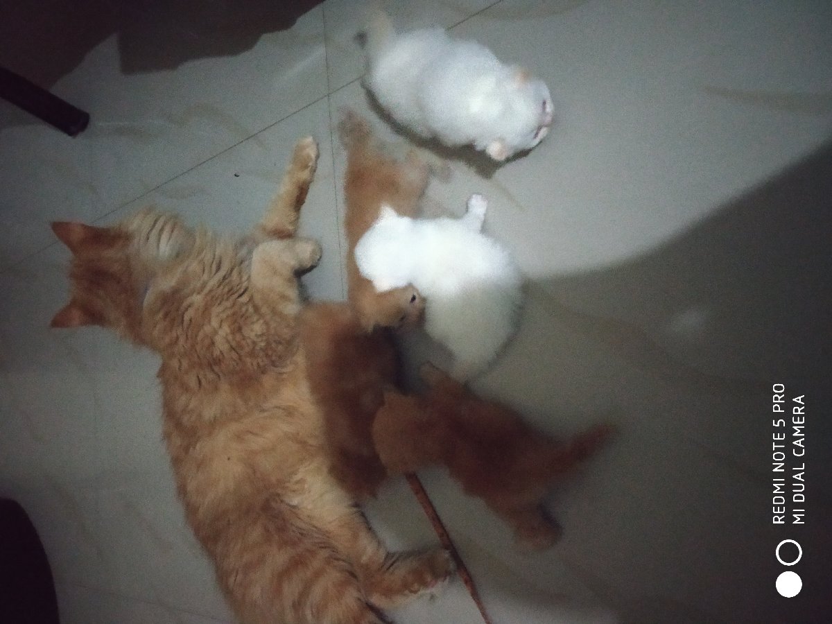 lovely family ๐๐