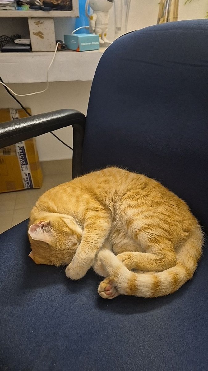 Eat. Sleep. Repeat. ππ«Άπ»