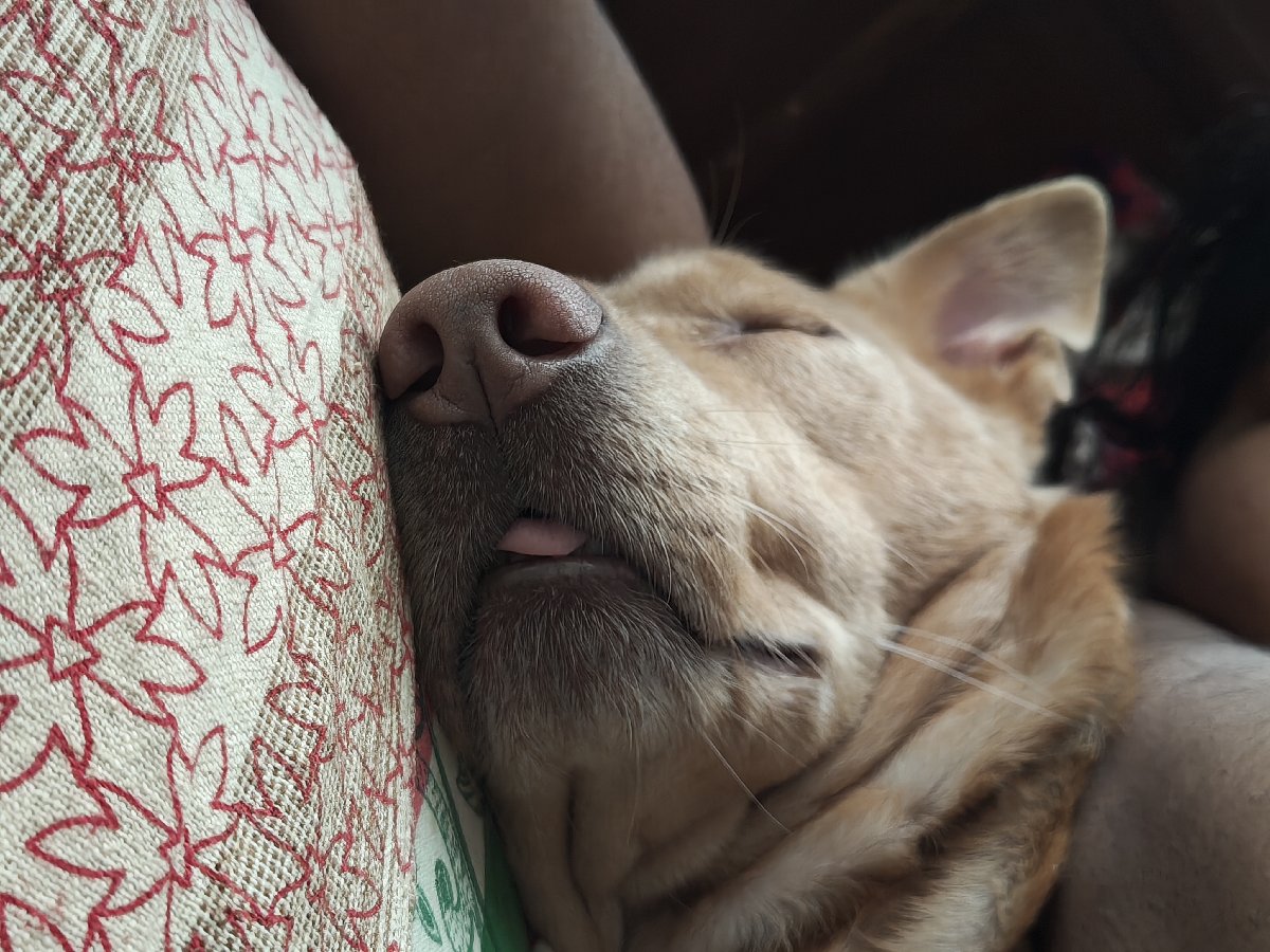 Look at him 🥺🥺