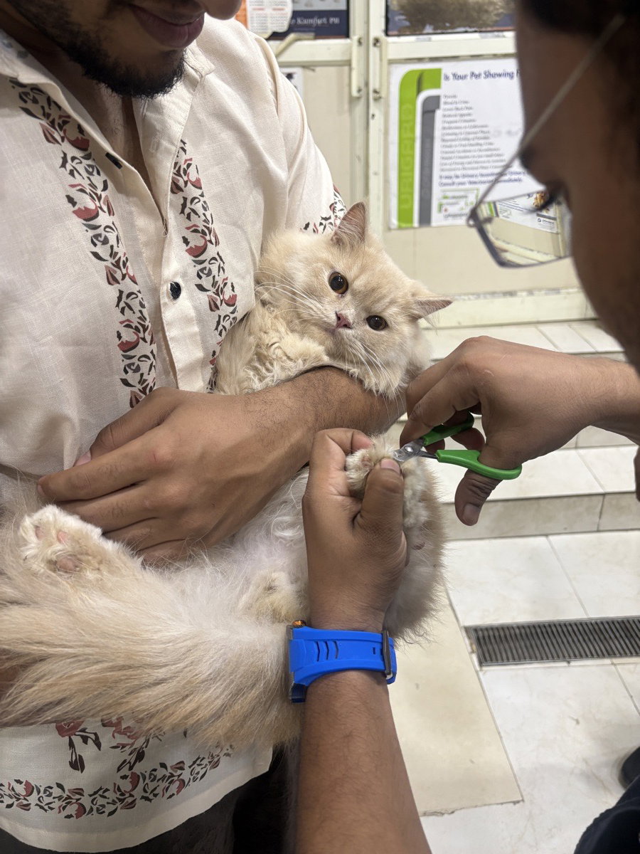 hiding claws on grooming day ๐โโ๏ธ