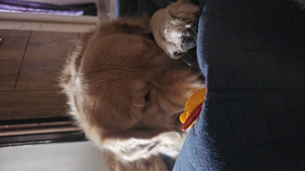 Lucy Ph stayed with me and settled right in. 16–17 Sep