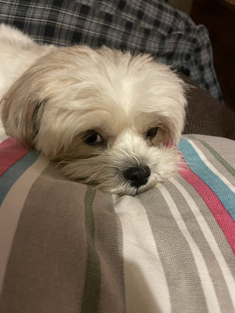 Loved having the sweetest girl with a crazy amount of energy stay with me. (Emma, 2-4th October)