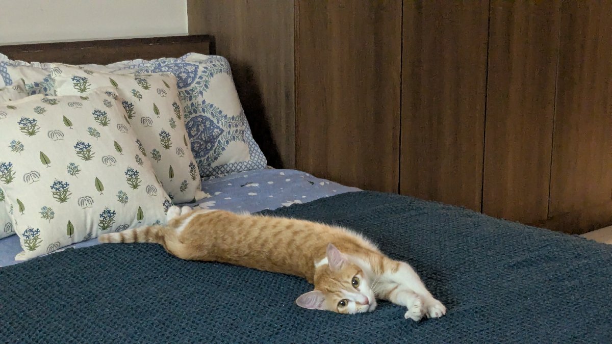 It's a lazy saturrrday🌻❤️😴