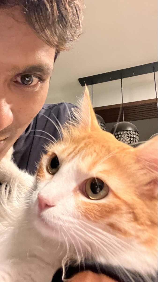 Look at this gorgeous cat!! was such a lovely time with her ❤️🥺