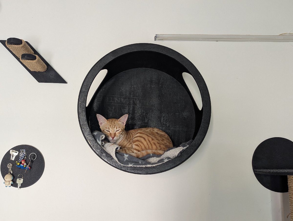 💤