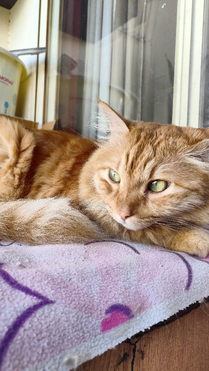 Sunday morning started with bird watching...