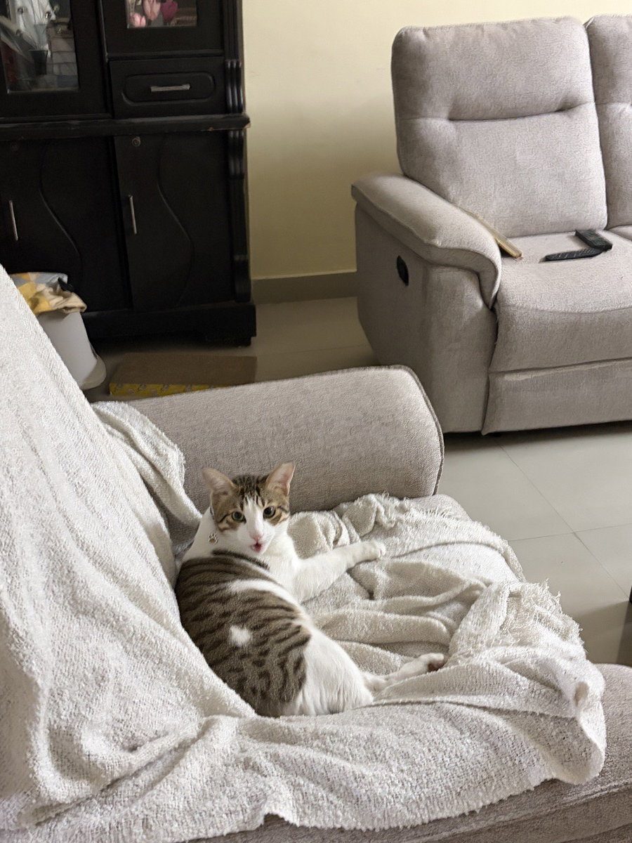 Goofy stayed with me and settled right in. 19–23 Sep