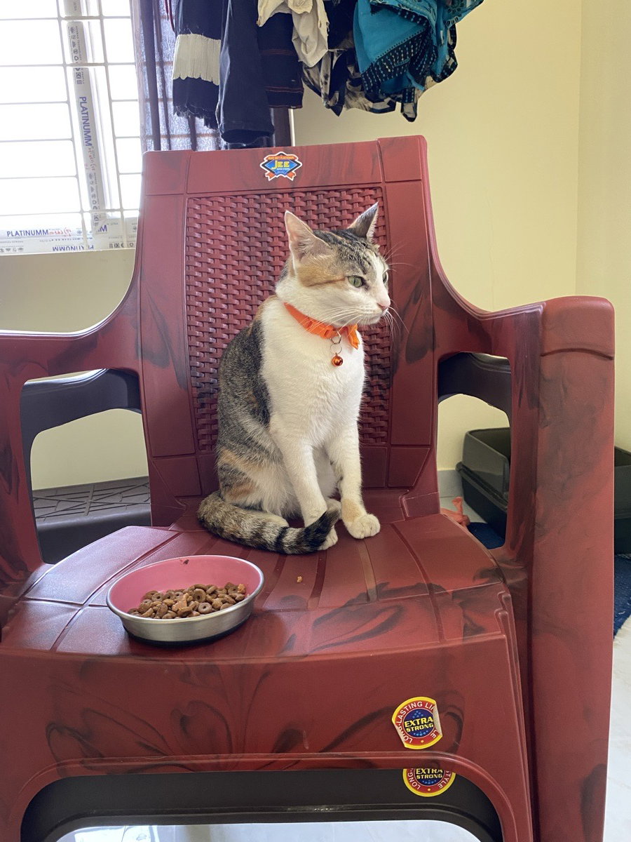 Maya stayed with me and settled right in. 9–13 Oct