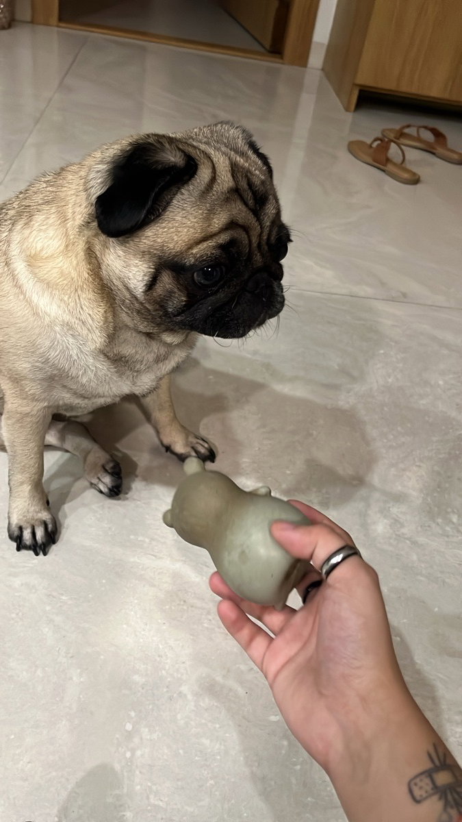 Kiwi’s real love, lil mousie
