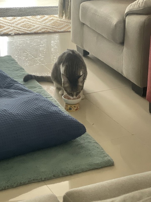 A deal of friendship via food😭😭✨✨