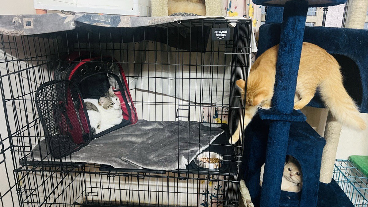 pixel stayed with me and settled right in. 19–20 Oct
