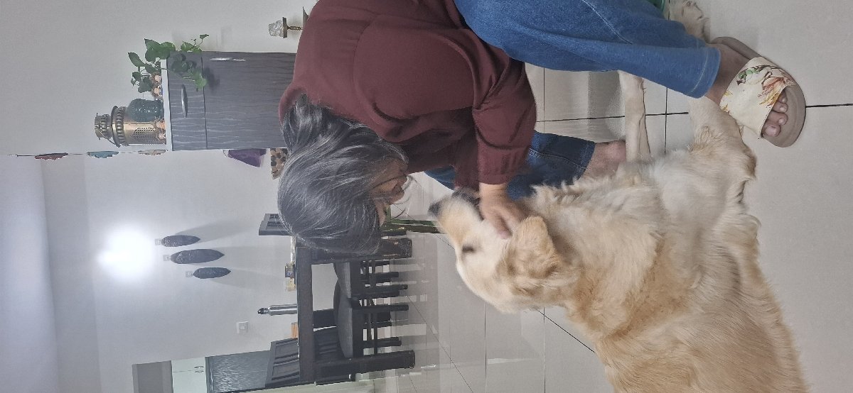 Moments with Mango