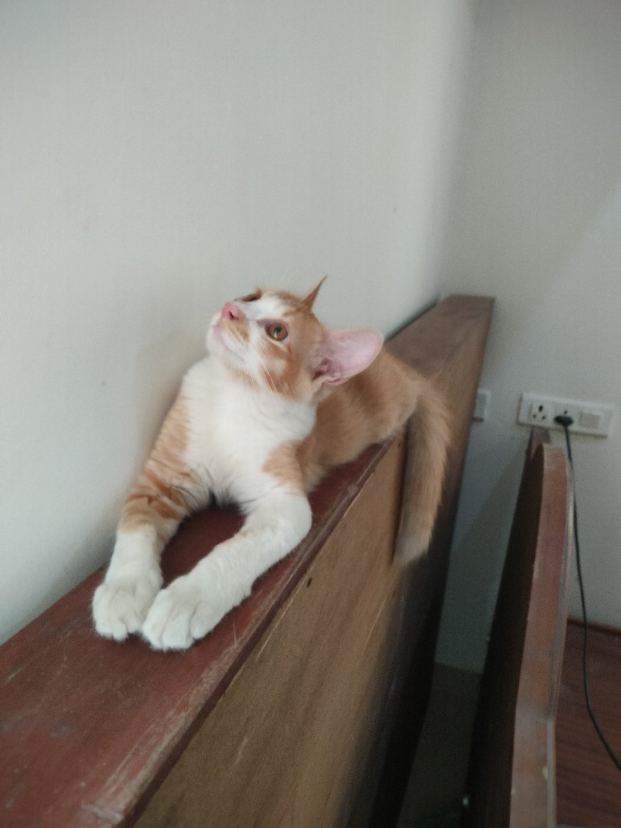 Hosting pablo , very curious guy.