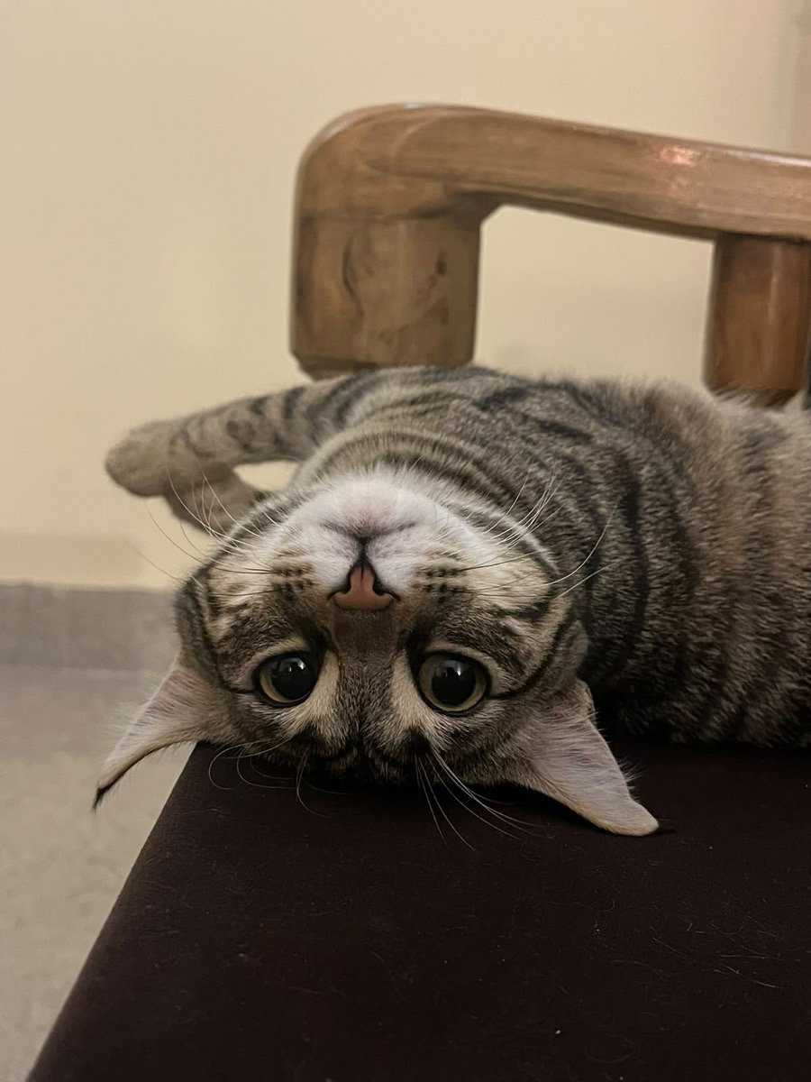 Poco upside down, living life right side up.
Checked in for a week, left us all wrapped up.