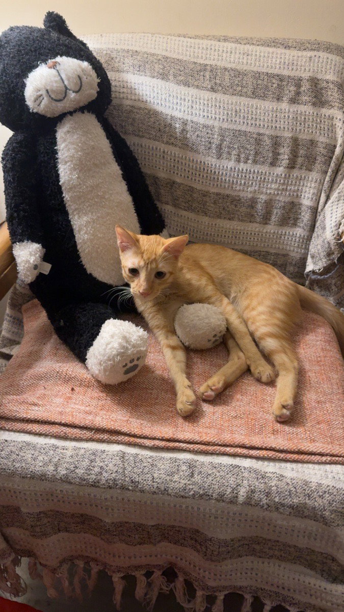 Meet kismis!!