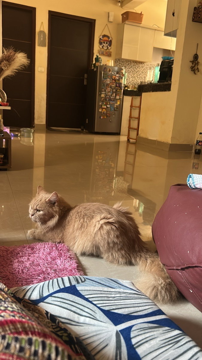 friday chill