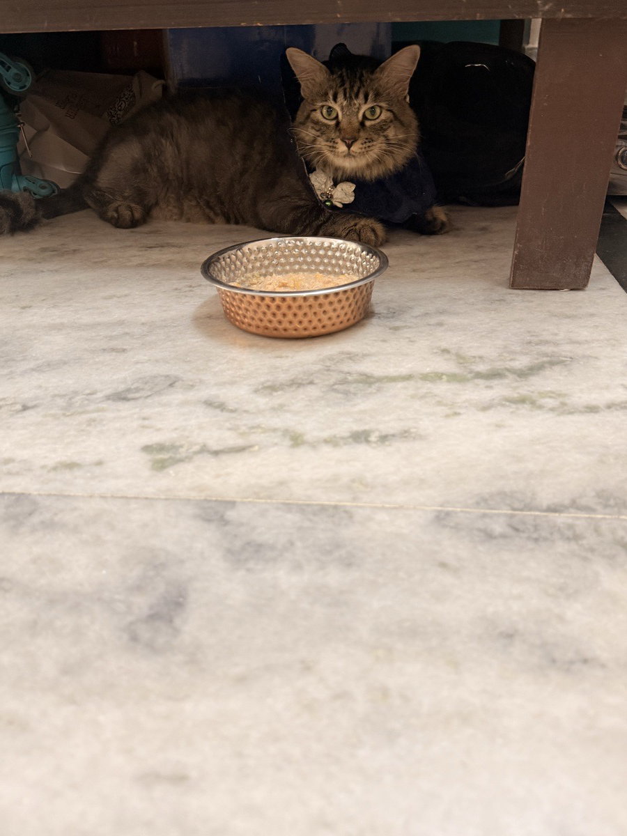 Jahanara stayed with me and settled right in. 2–5 Oct