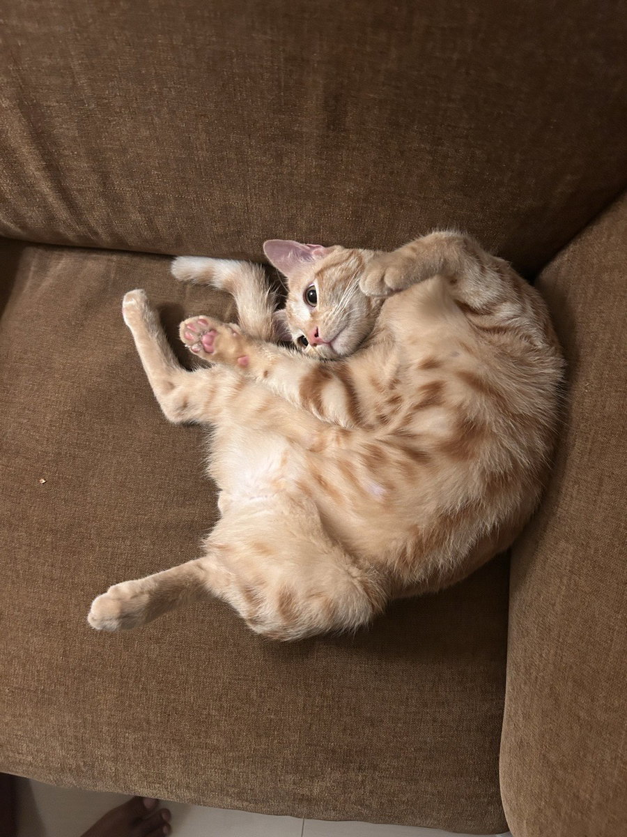 Weekend is to chill! And who chills better than Kulfi!❤️
