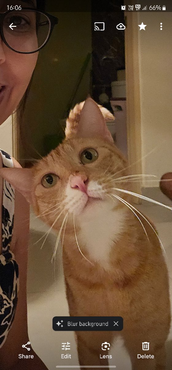 He is my favourite 🧡
