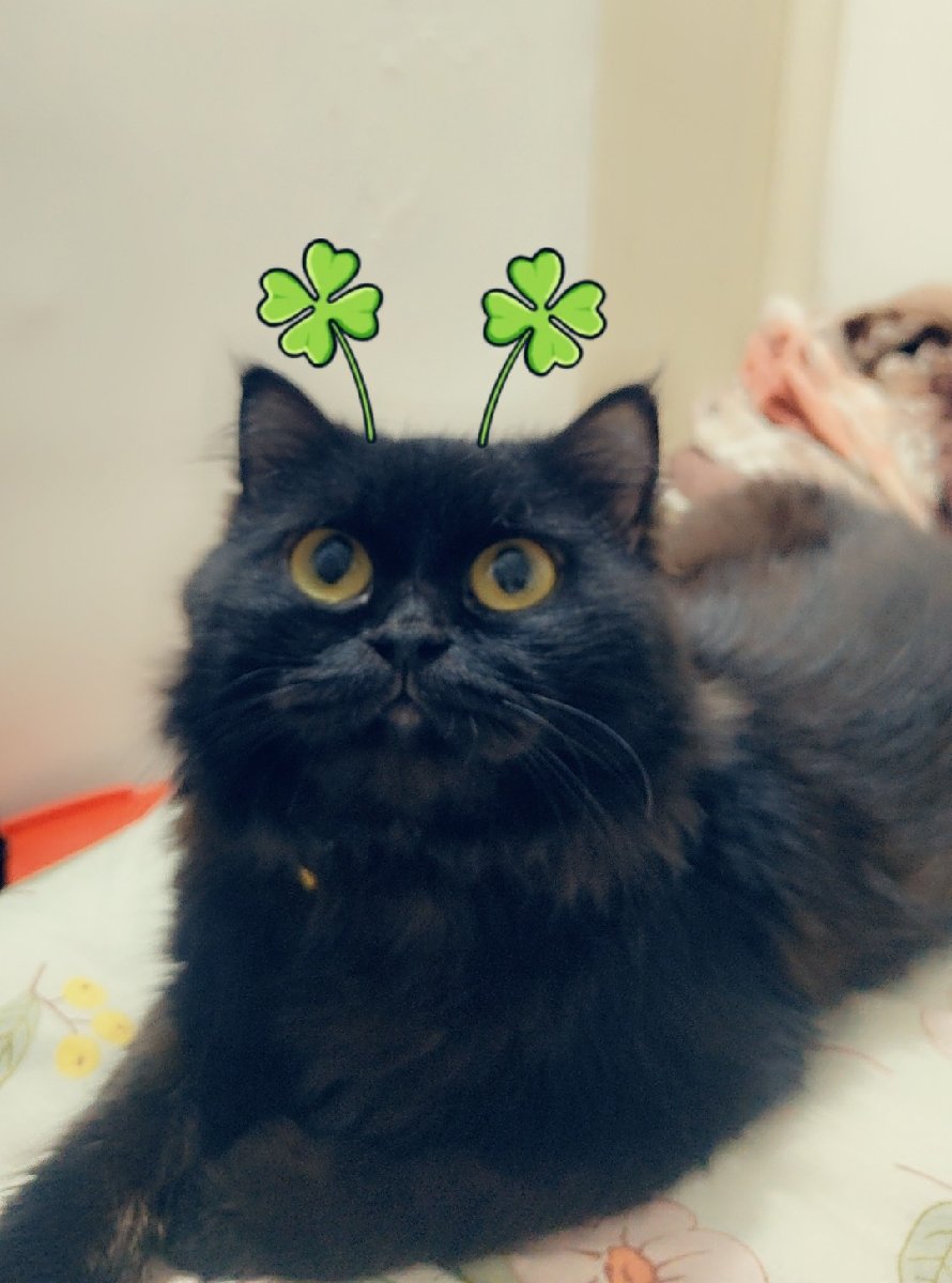Tryna make him pose for my snapchat w some filters ๐๐ช