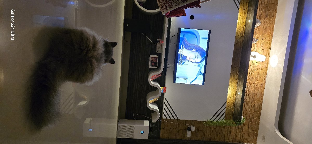 She loves k-drama! ๐