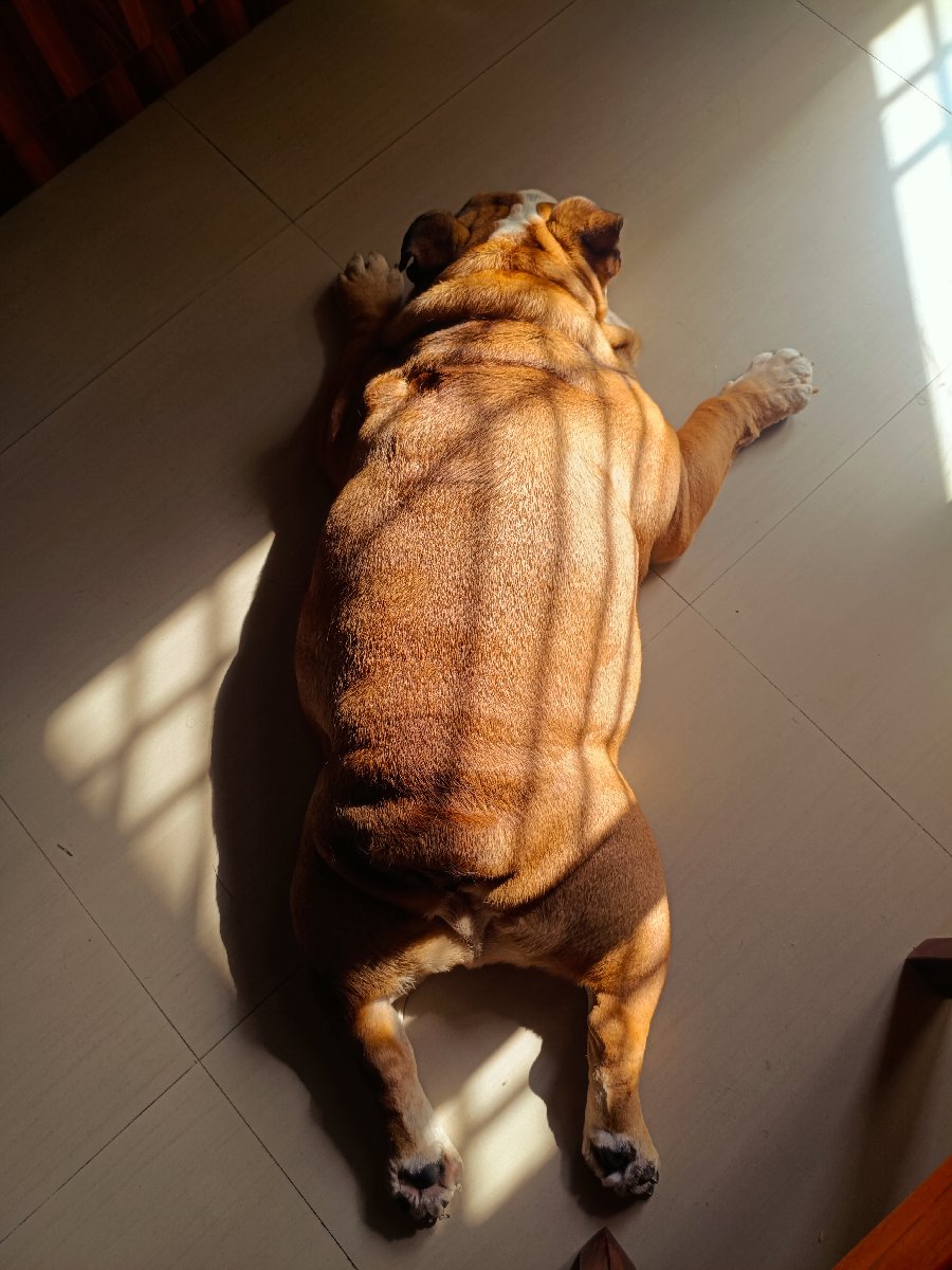 How toasty u want ur bread to be..?