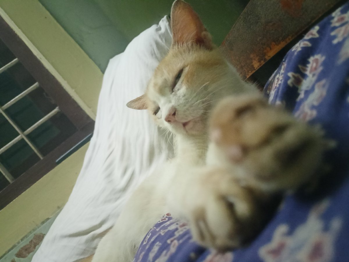 😴