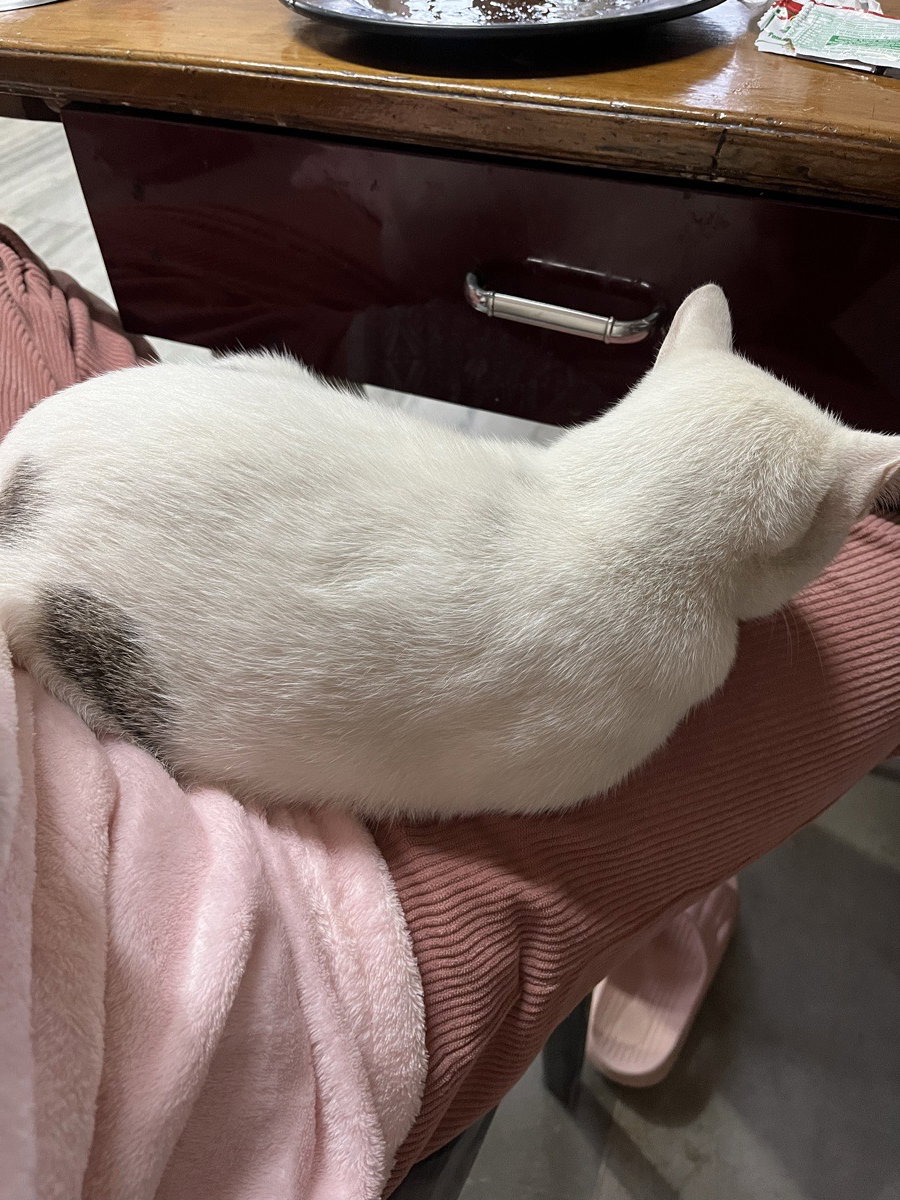 missing my fluffball:”) see u next week