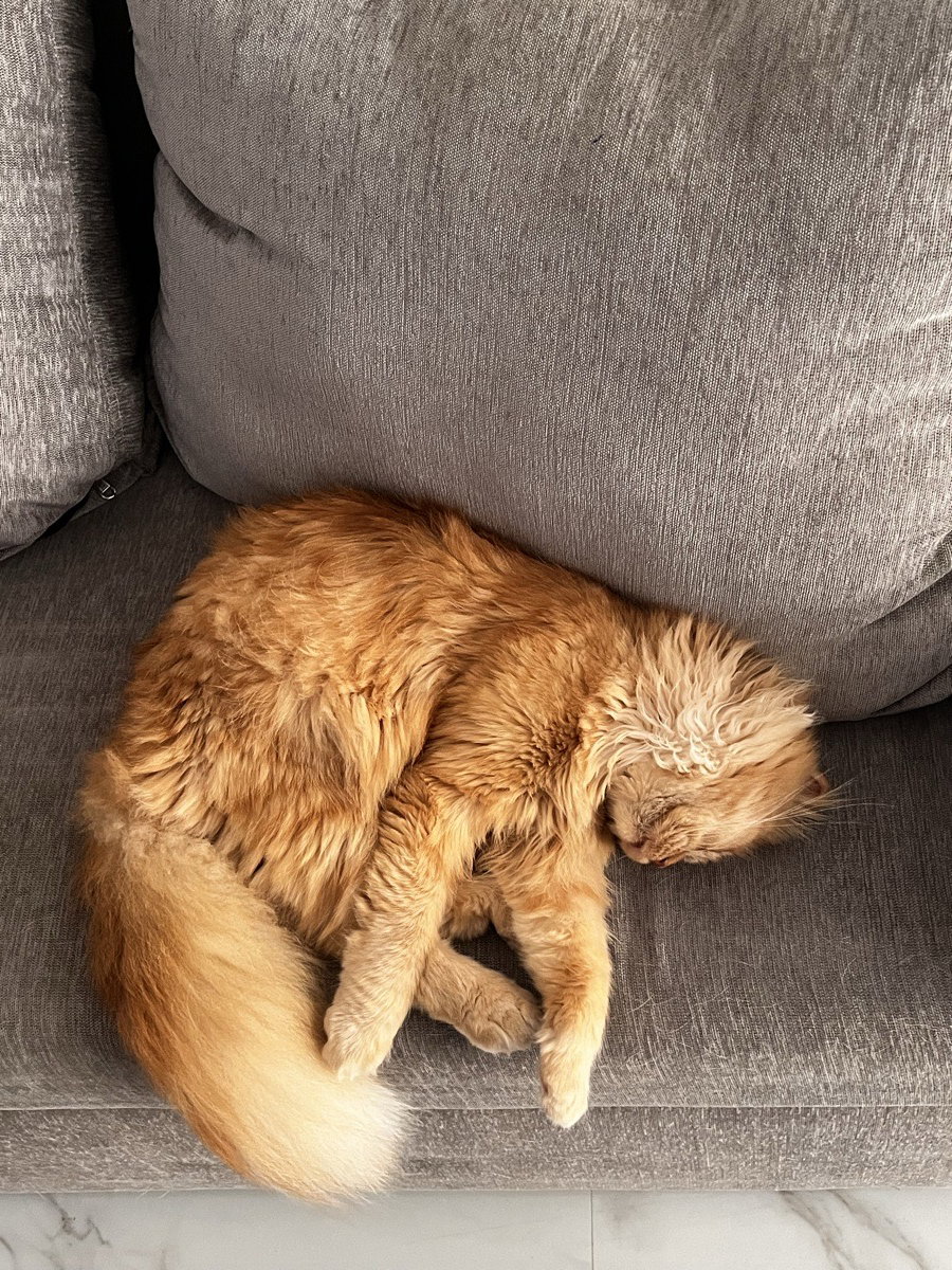 This is his fav position