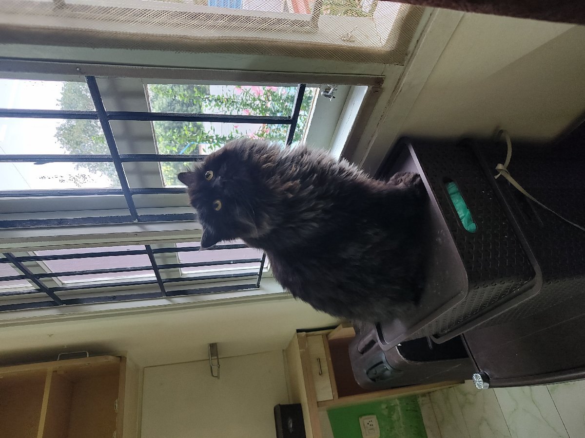 Bubble stayed with me and settled right in. 23–27 Sep
