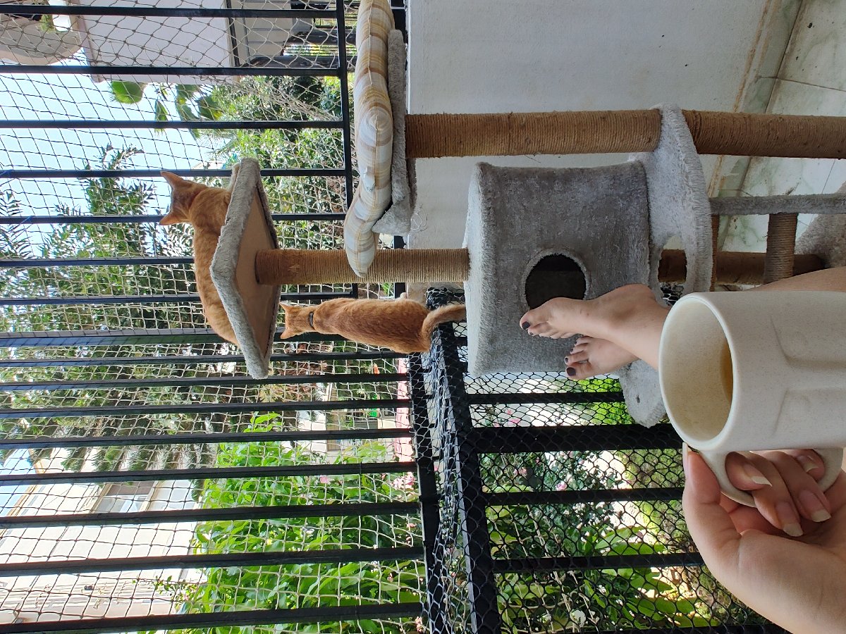 Purrfect start of the long weekend! πͺΆππ΅