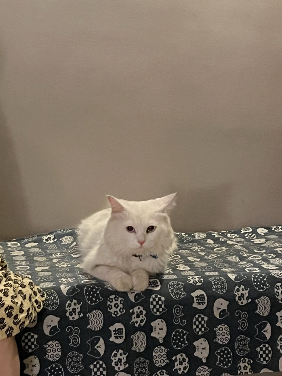 Majnu stayed with me 13–20 Sep