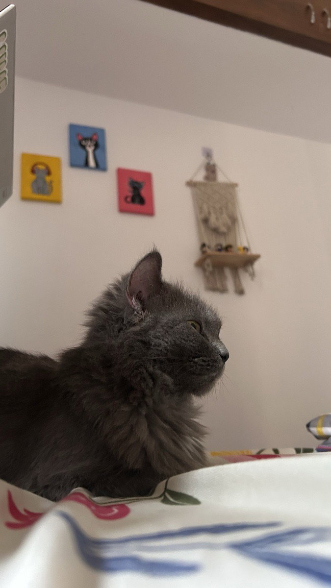 Miss Leo, very pretty, very demure, very elegant β¨πΎπββ¬