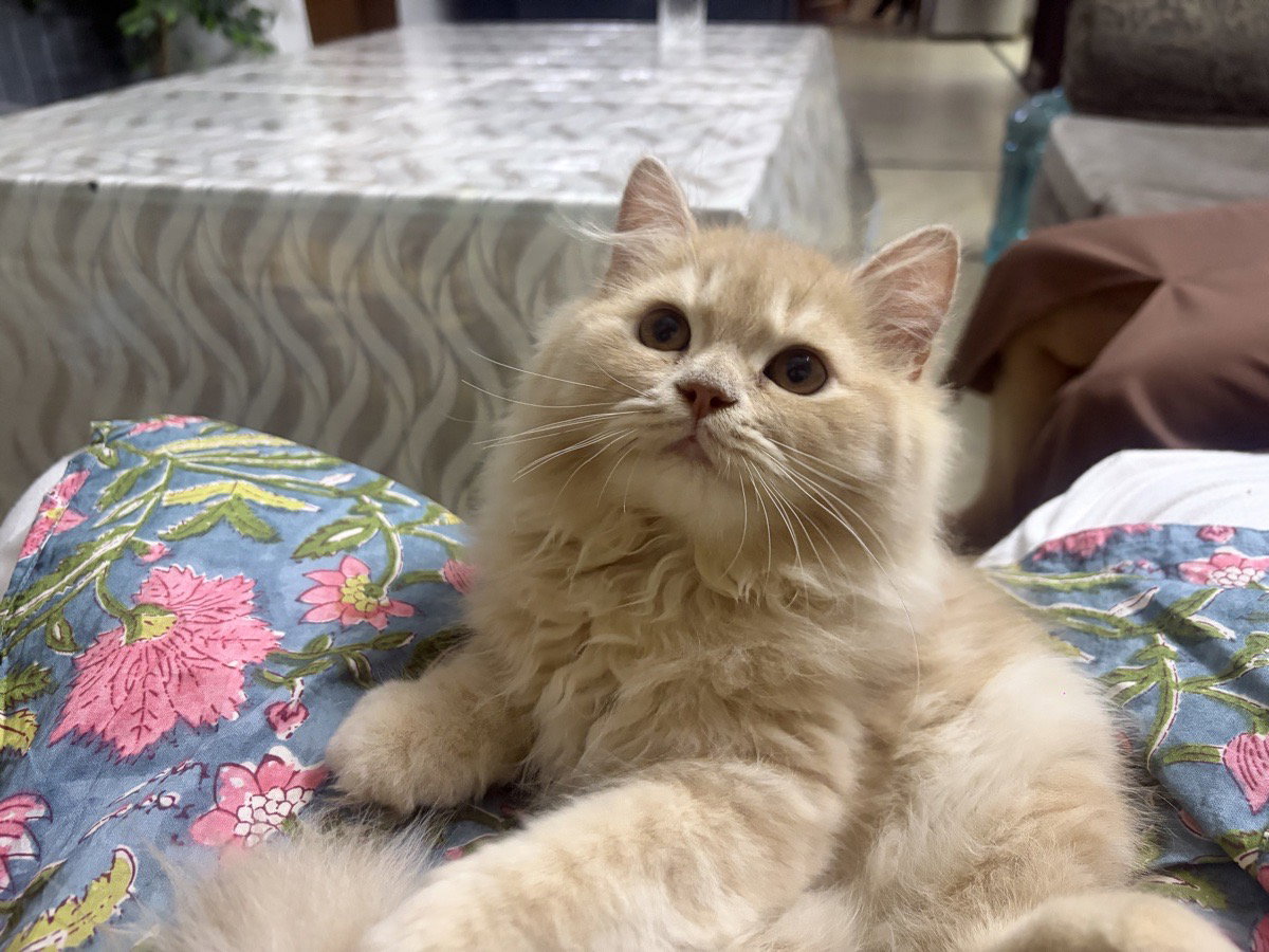 Such a cutie 🥰