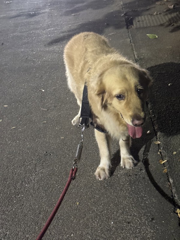 After 5 mins of walk… nautanki🤣
