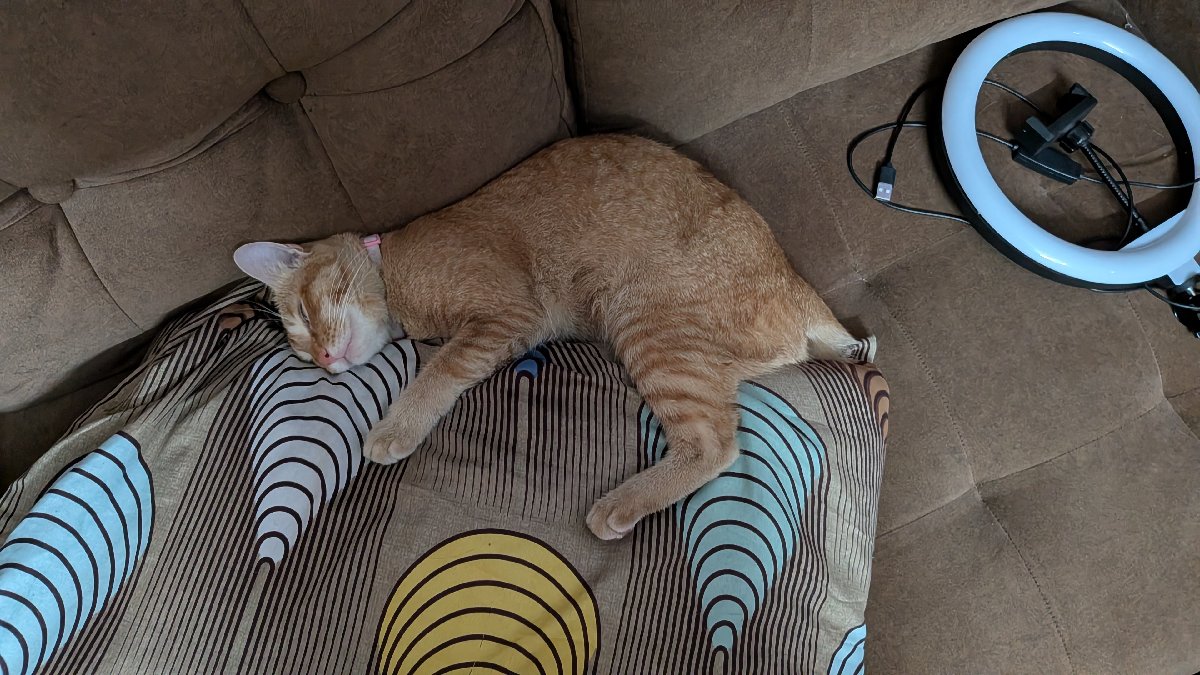Sleepy coco.๐