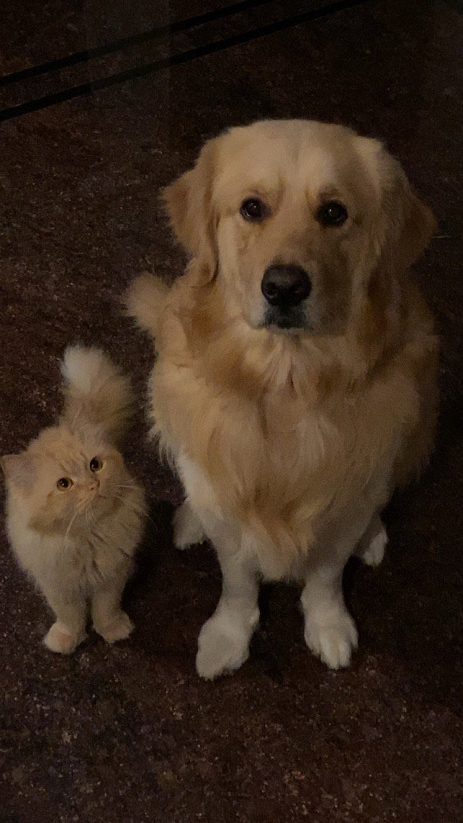 Why fear when you have your brother!!