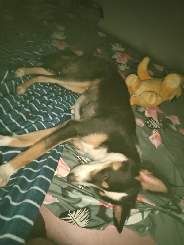 Safe to say Maverick Choudhary made themselves right at home during their stay! 10/10 guest, highly recommend.