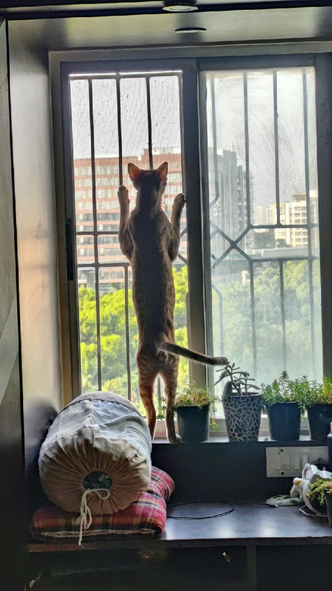 Just when he saw a bird.