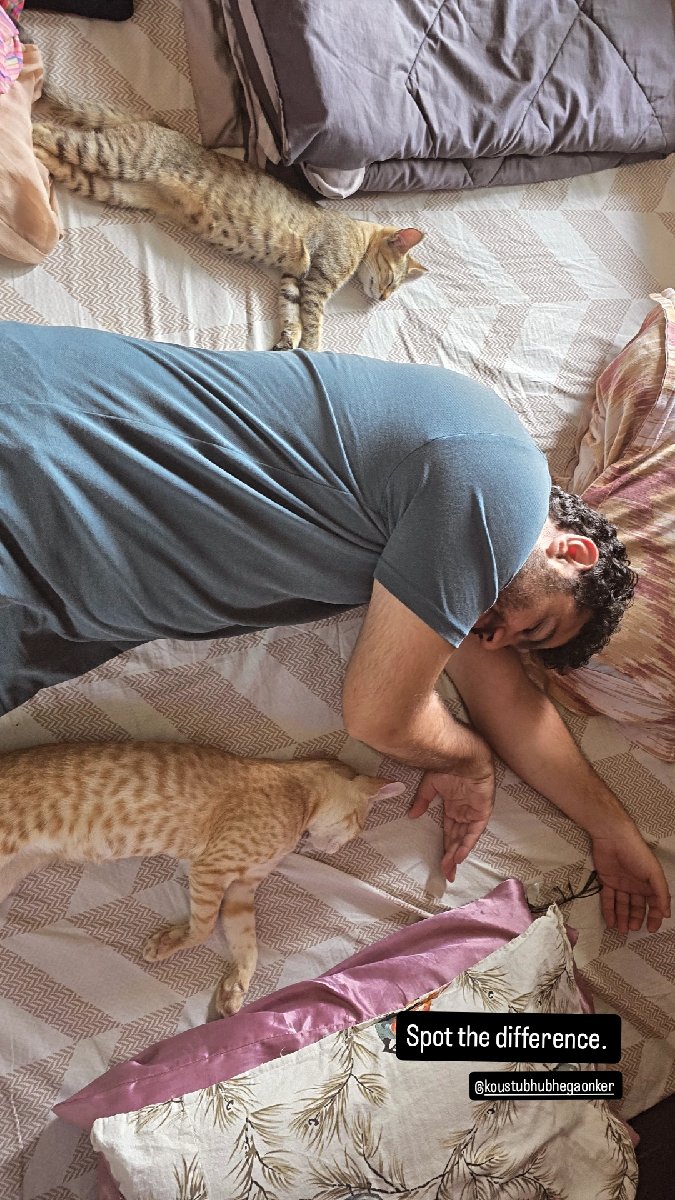Nap time?