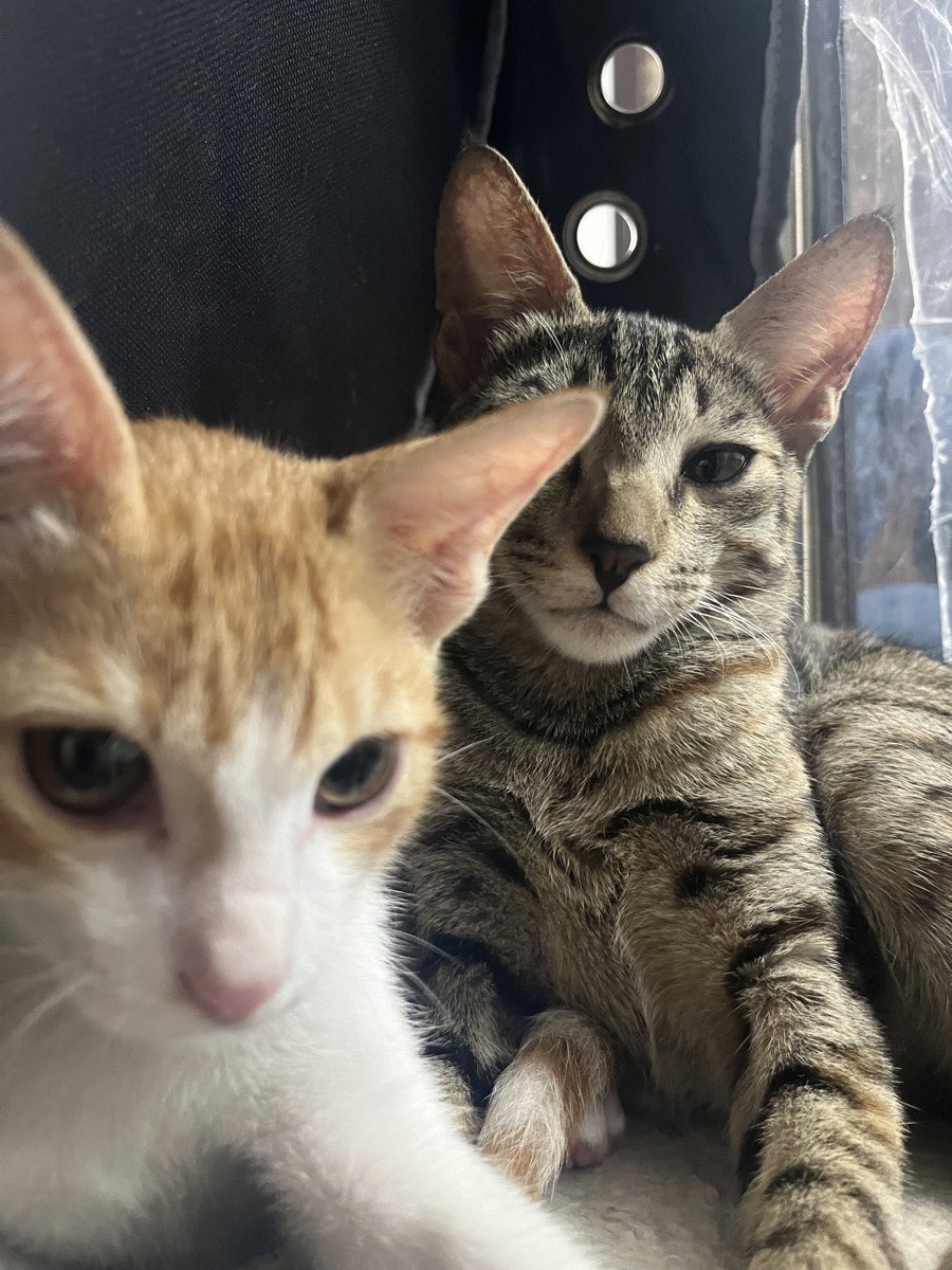 Selfie time😽