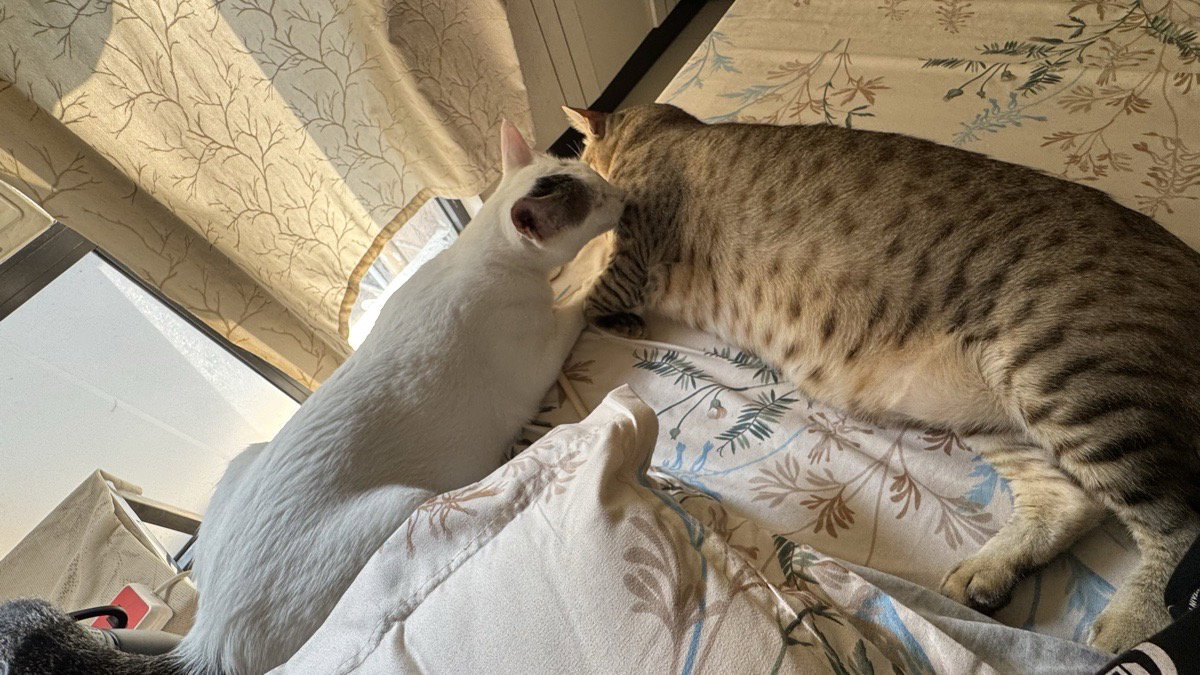 They are so cute ❤️
